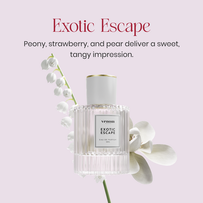 Exquisite Pheromone Perfume Collection: Captivating Scents for Enduring Appeal